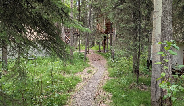 Time for adventure. Sleep in a treehouse. 5 minutes from the airport & downtown!