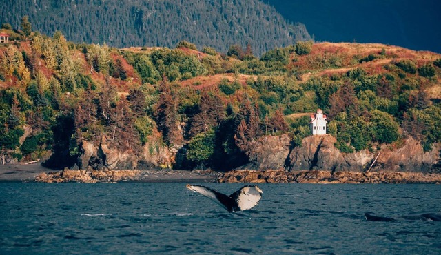 Unique Clifftop Lighthouse with stunning views of Kachemak Bay