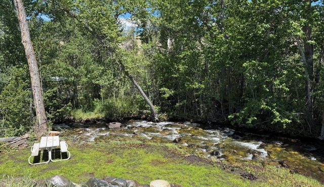 Unique creek side, pet friendly tiny home on the outskirts of Sheridan MT.