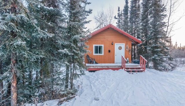 Winter wonderland cabin