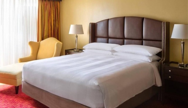 Wyndham Atlanta Buckhead Hotel & Conference Center | 1 Double | Pet Friendly