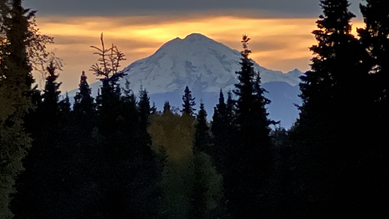 Photo of Others in Cohoe