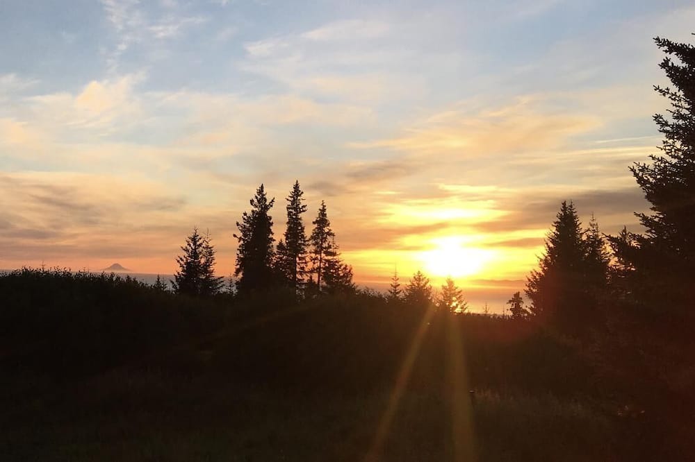 Photo of Others in Homer