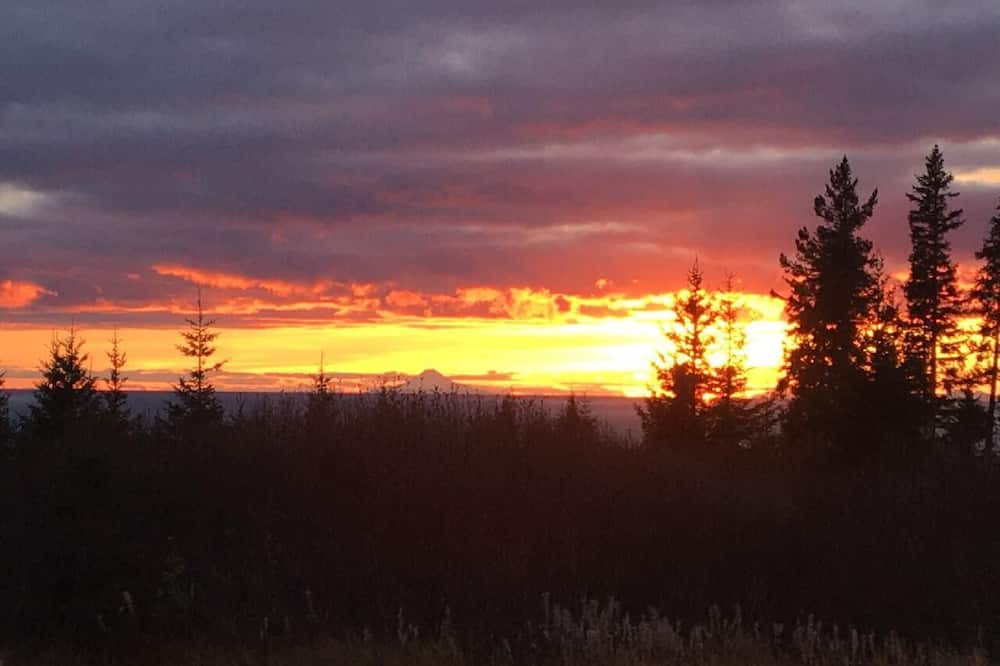 Photo of Others in Homer