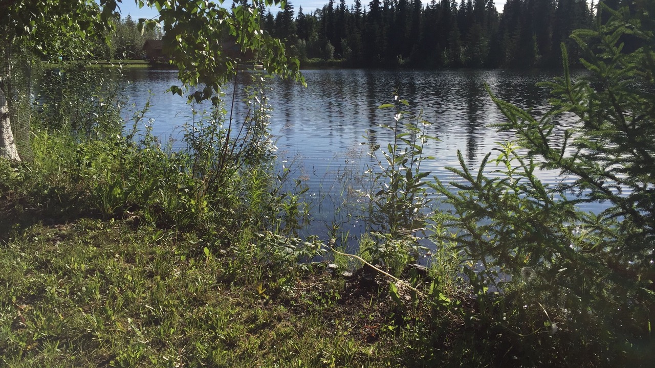 Photo of Outdoor in Fairbanks