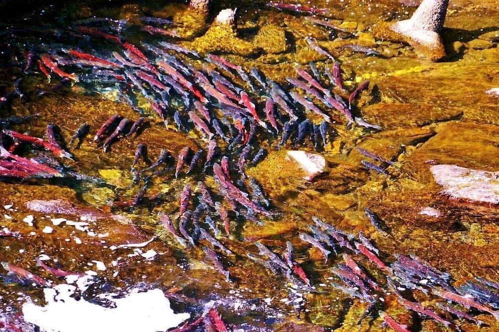 Photo of Others in Alyeska