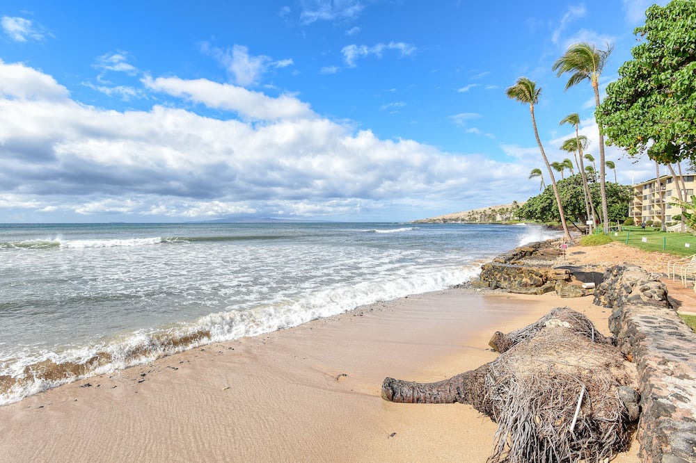 Photo of Others in Maalaea