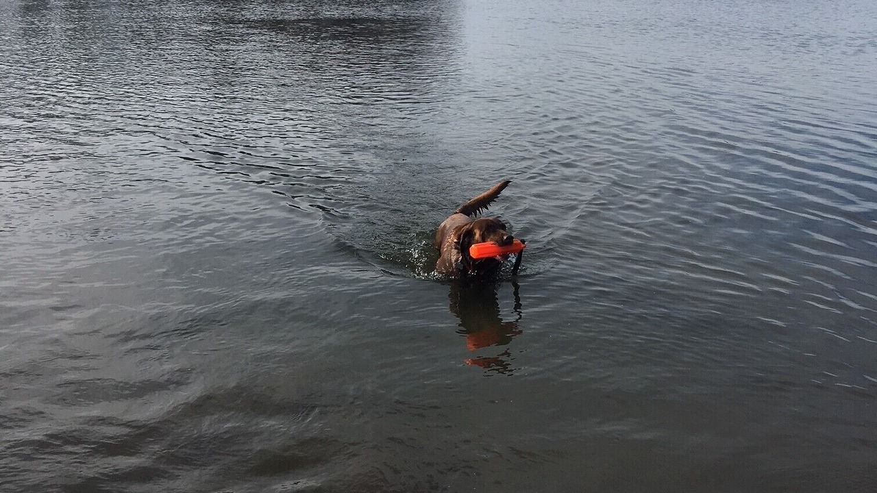 Photo of Others in Palmer