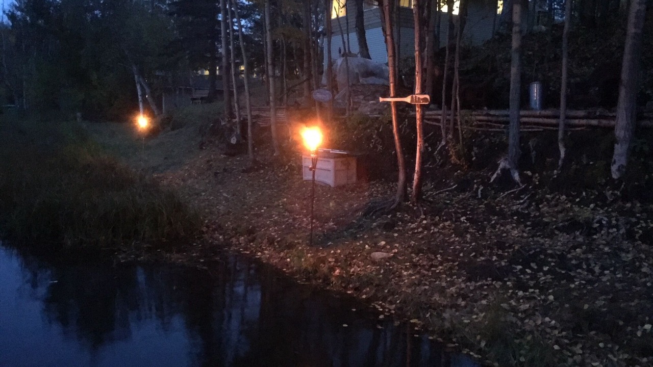 Photo of Outdoor in Palmer