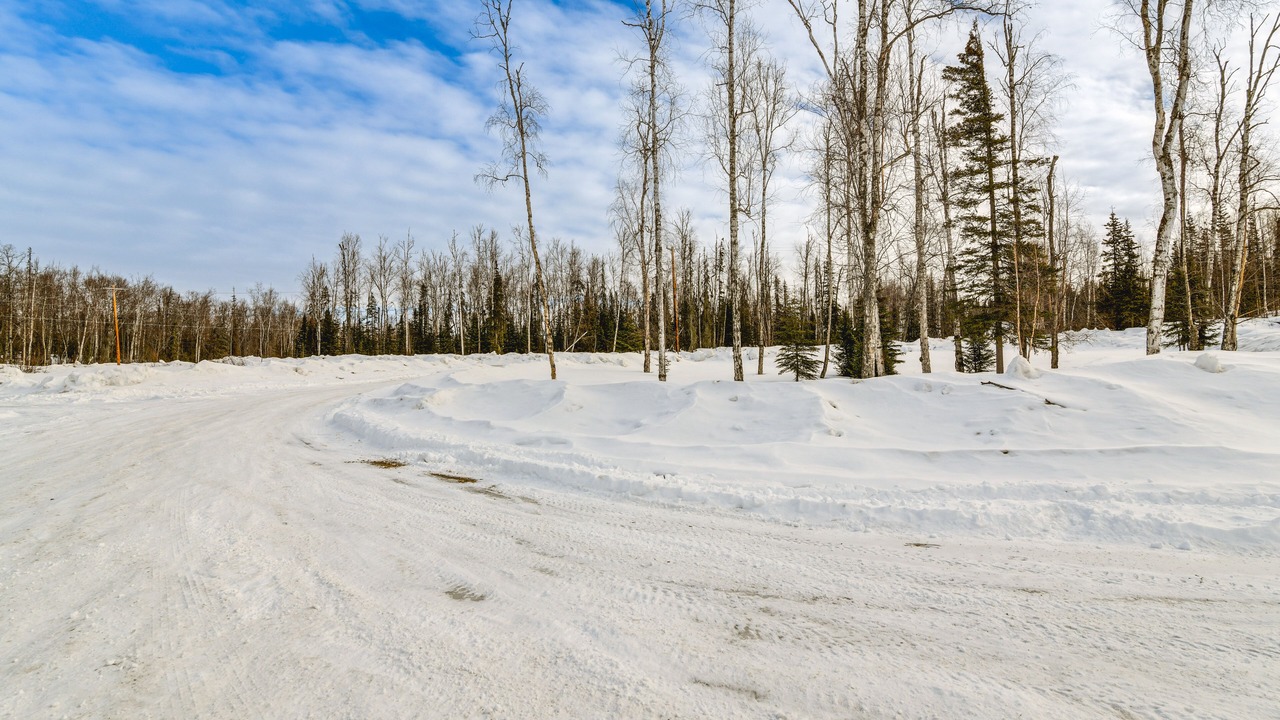 Photo of Outdoor in Knik-Fairview