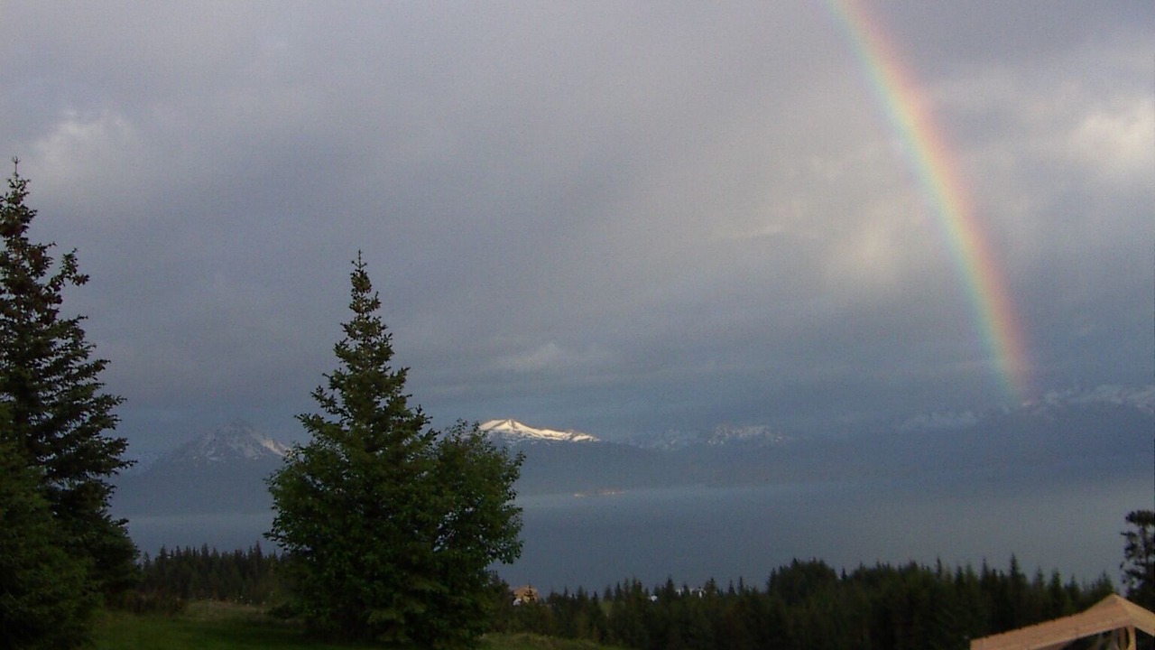 Photo of Others in Homer