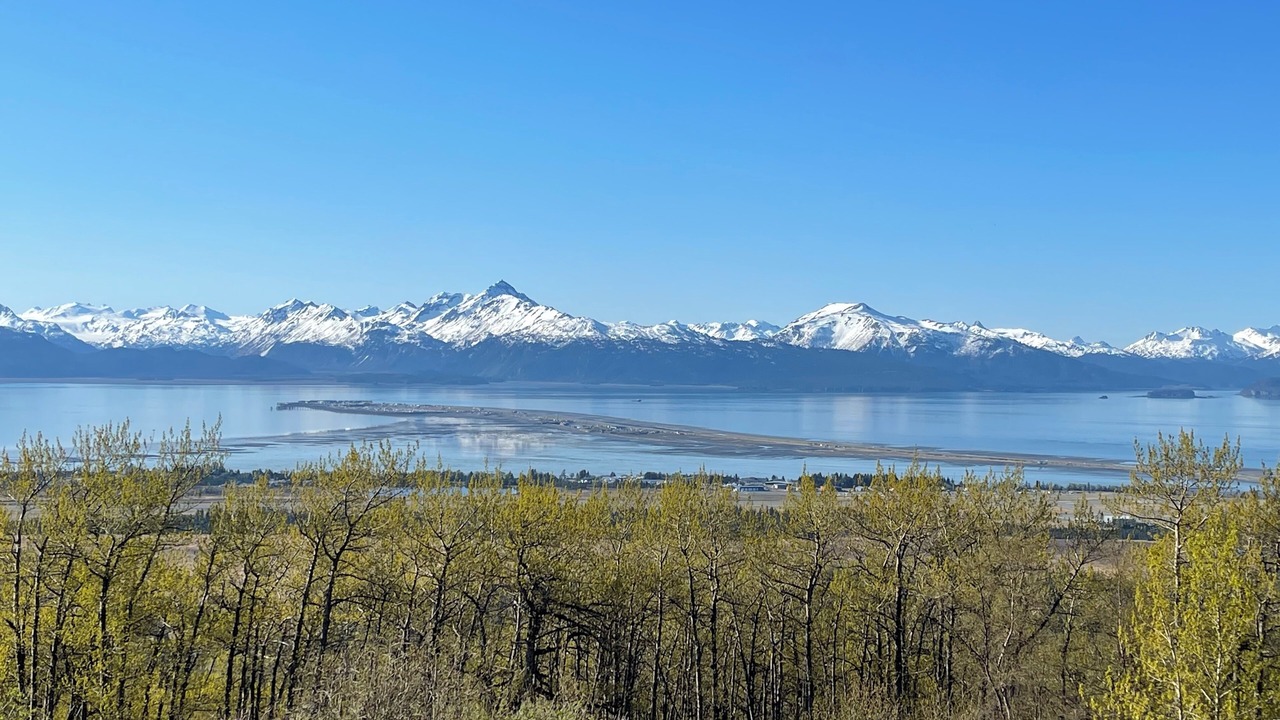 Photo of Others in Homer