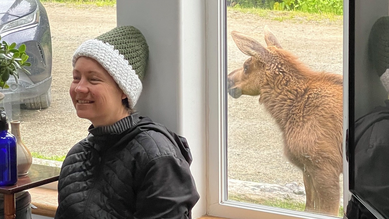 Photo of Others in Homer