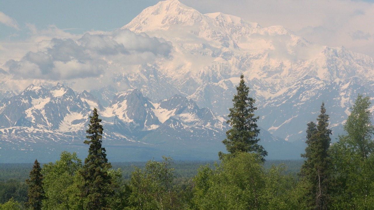Photo of Bedroom in Talkeetna