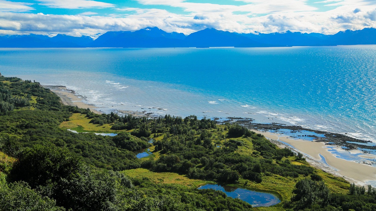 Photo of Others in Homer