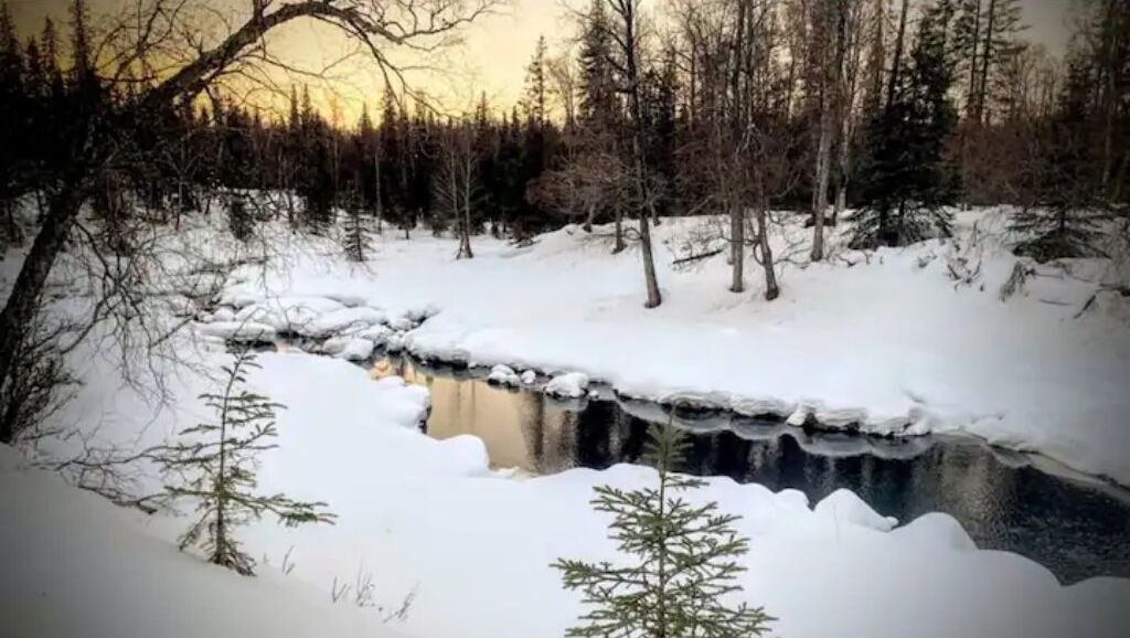 Photo of Outdoor in Nikiski