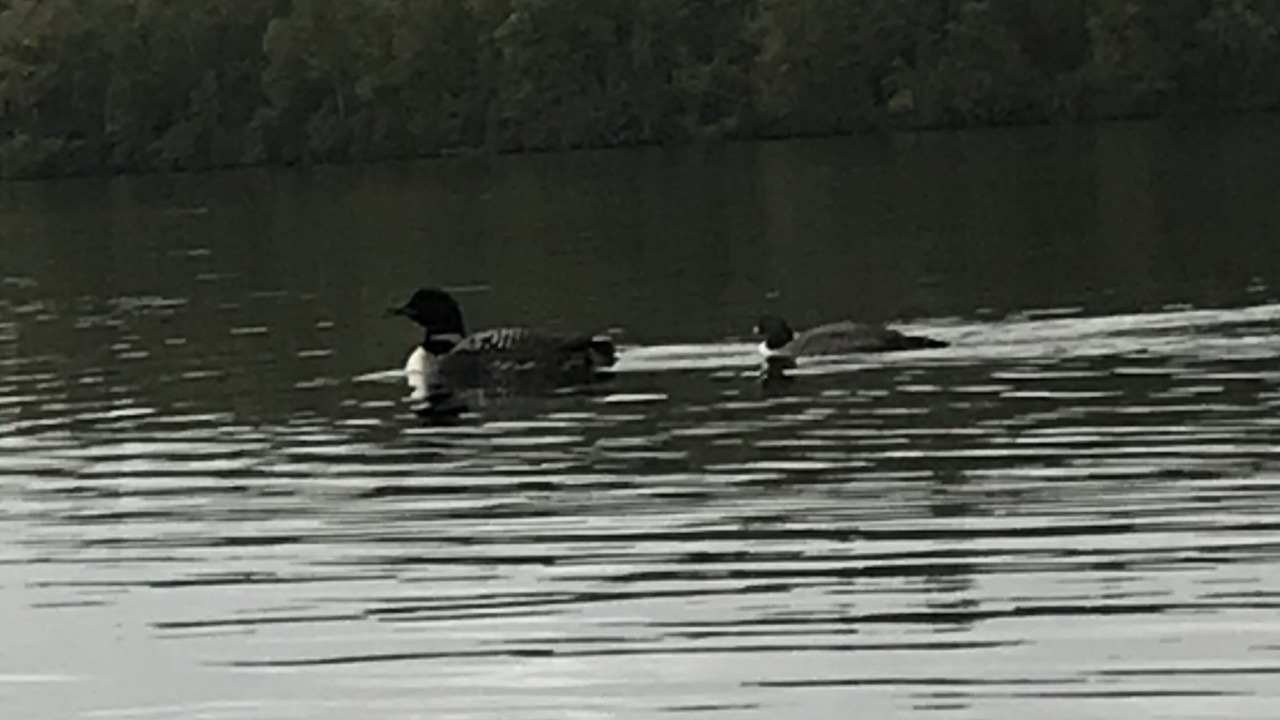 Photo of Others in Wasilla