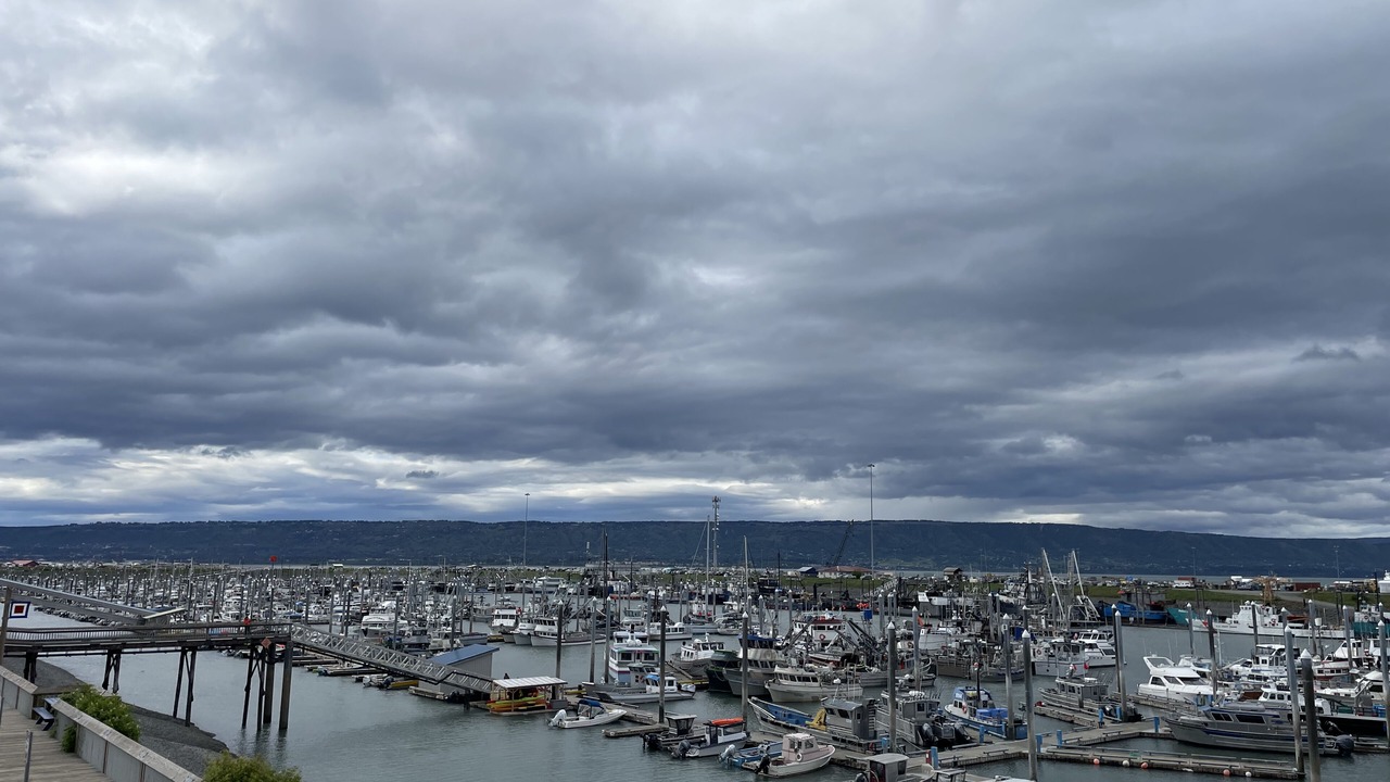Photo of Others in Homer