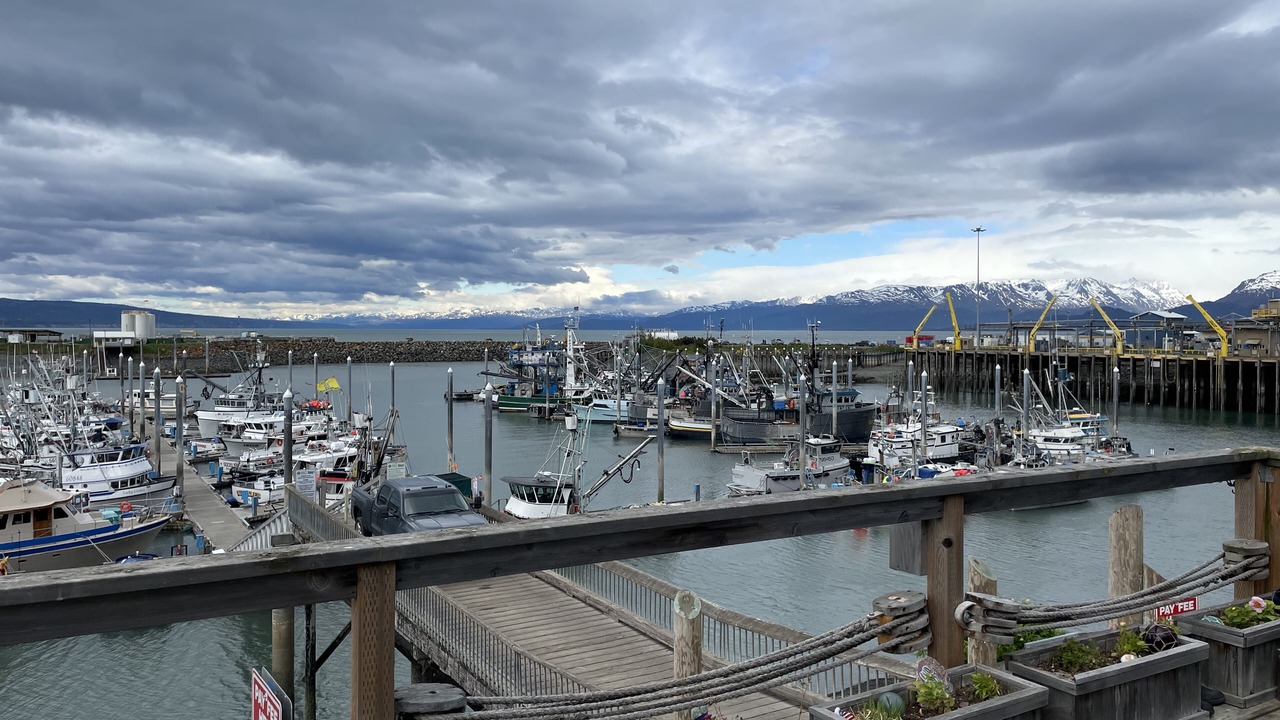 Photo of Others in Homer