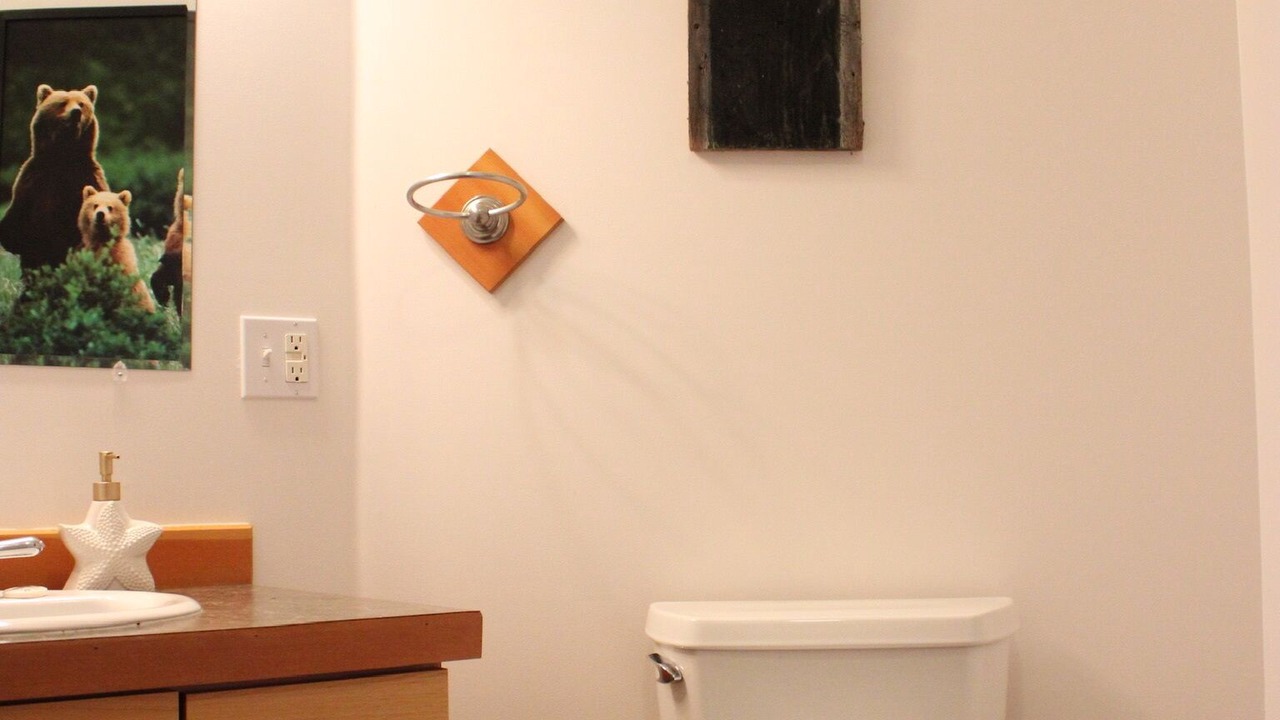 Photo of Bathroom in Homer