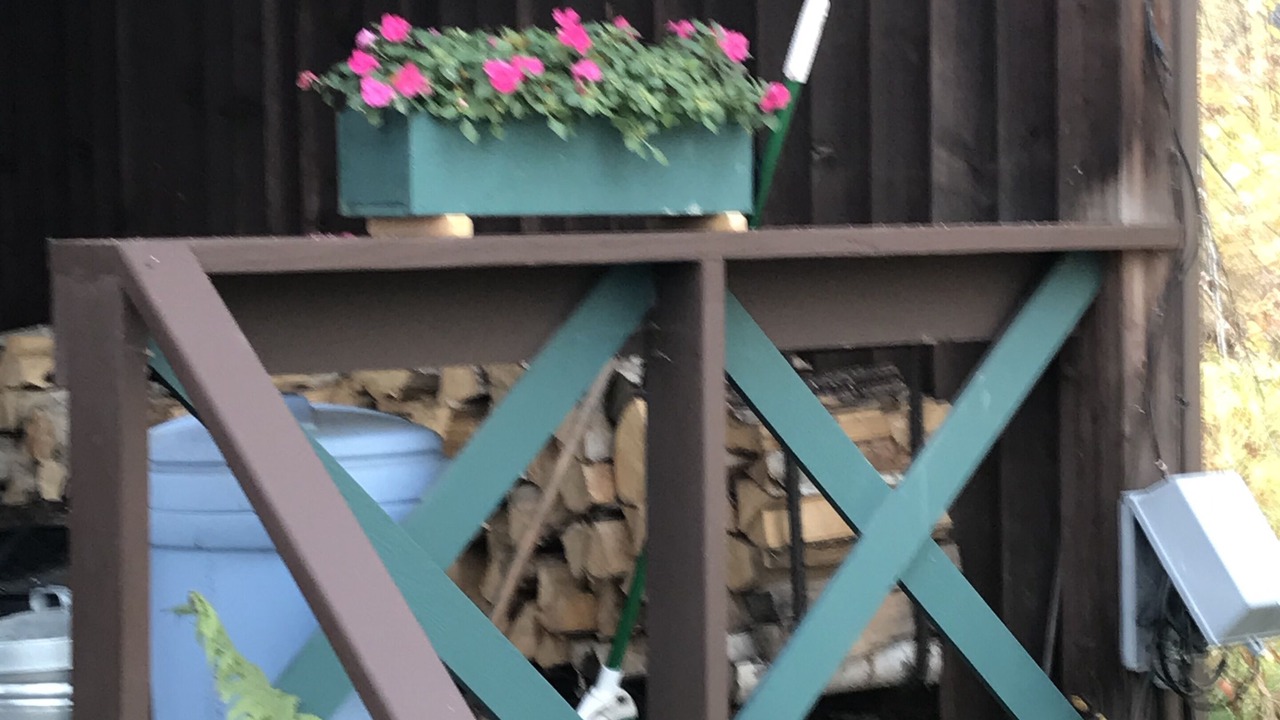 Photo of Outdoor in Fairbanks