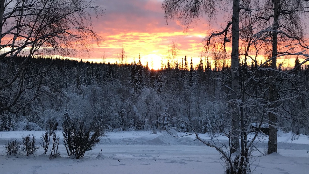 Photo of Others in Fairbanks