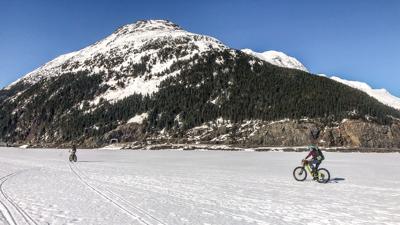 Photo of Others in Knik River