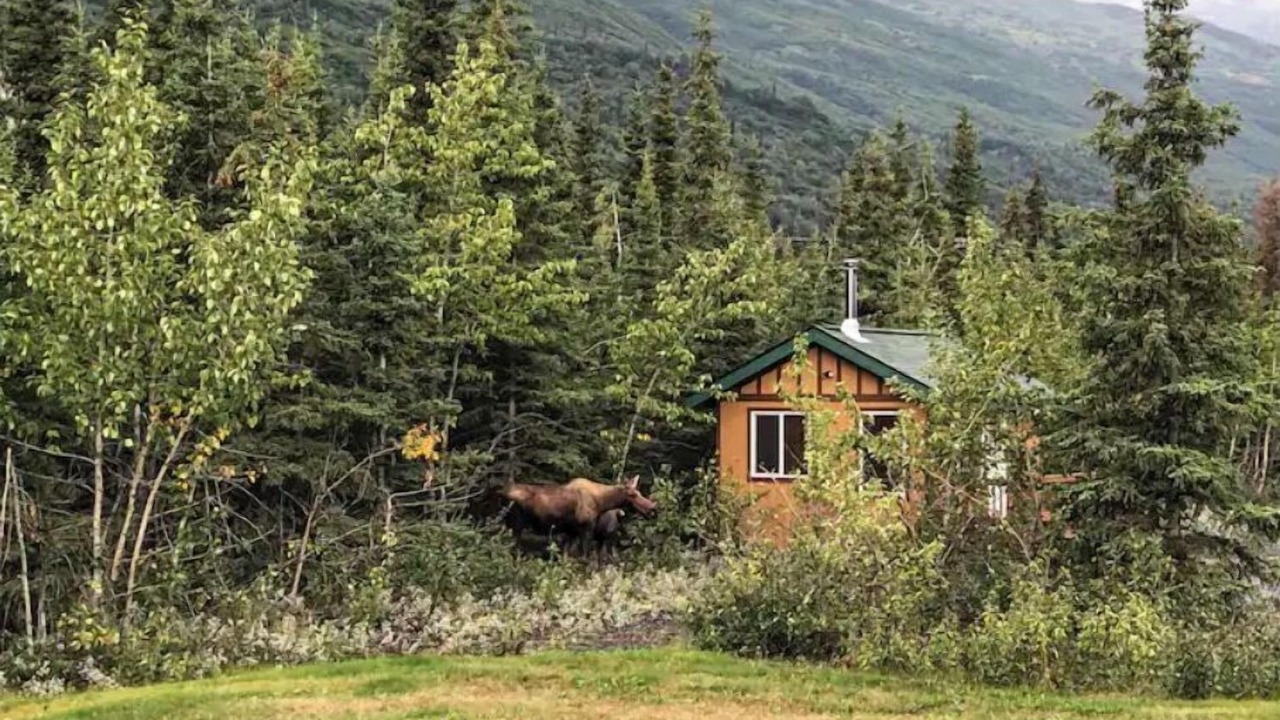 Photo of Others in Knik River
