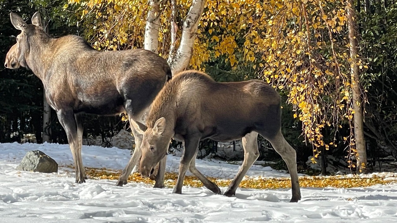Photo of Outdoor in Hillside East