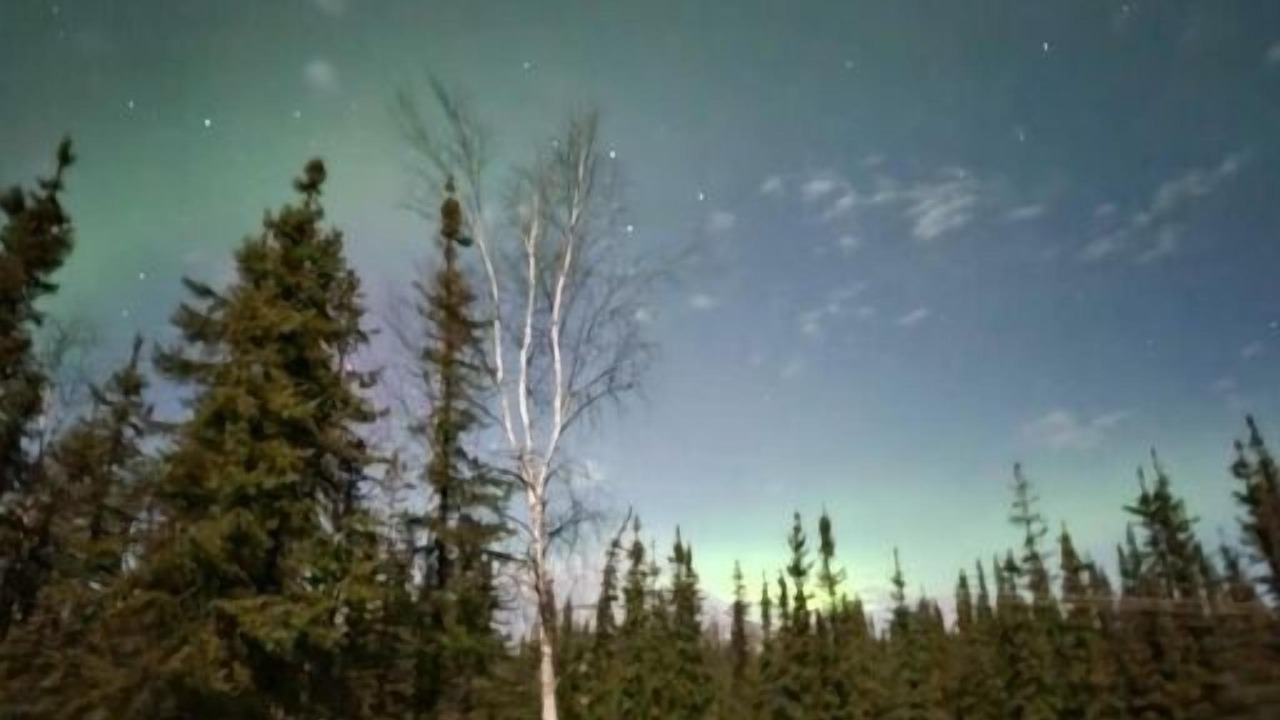 Photo of Others in Fairbanks