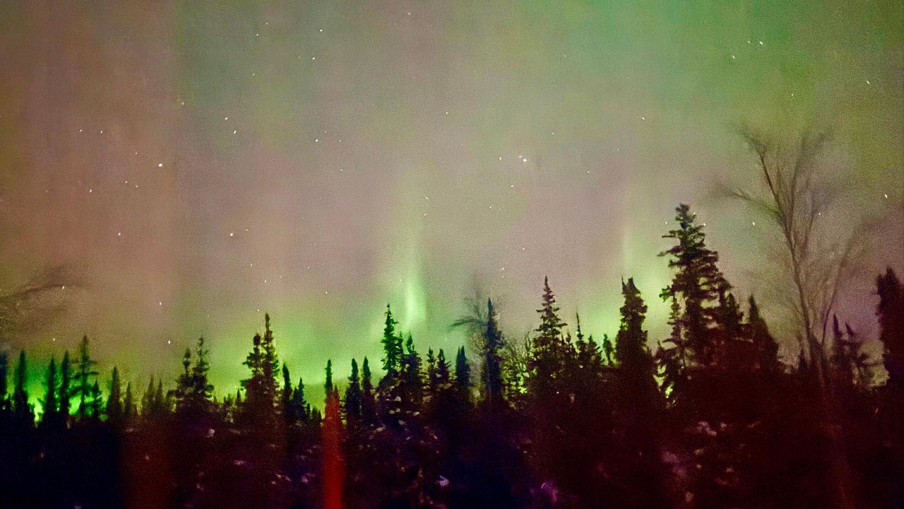 Photo of Others in Fairbanks