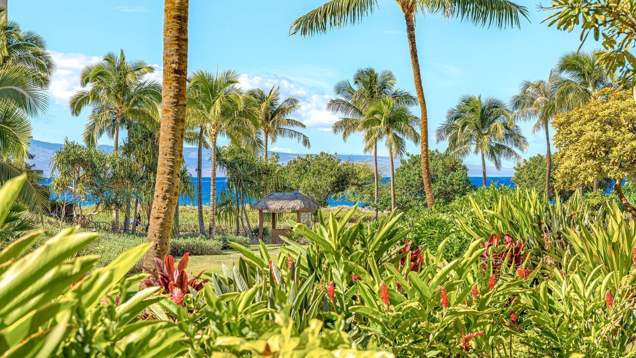 Photo of Others in Kaanapali