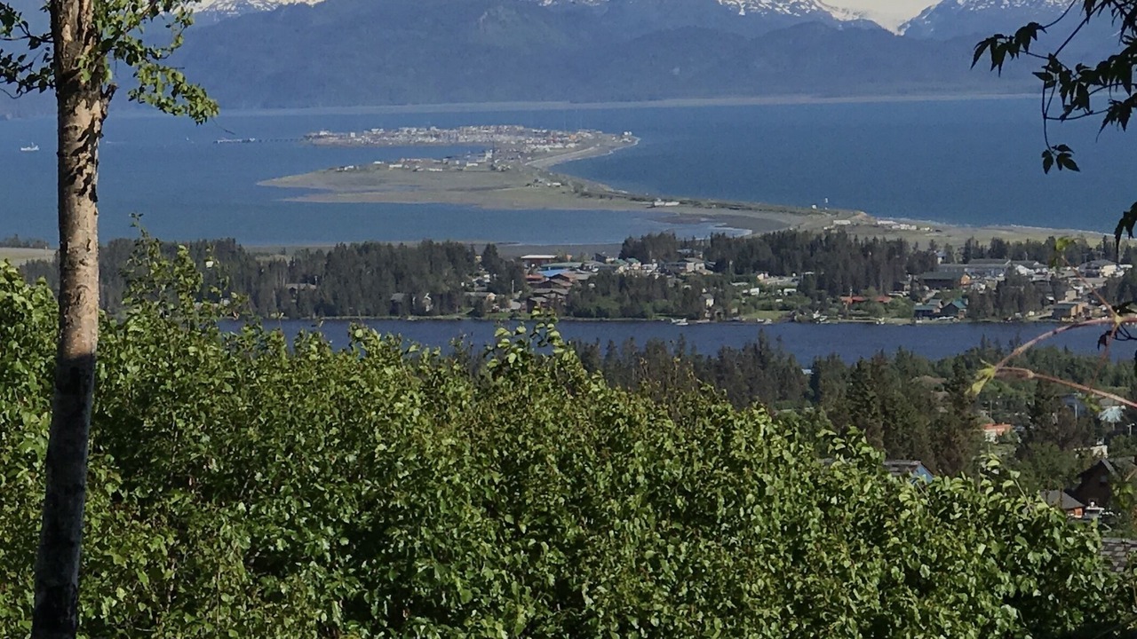 Photo of Others in Homer