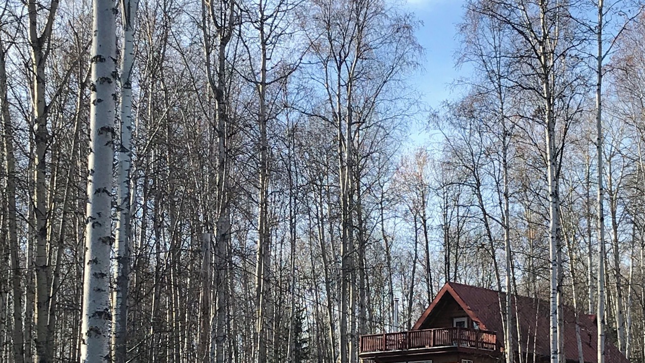 Photo of Outdoor in Fairbanks