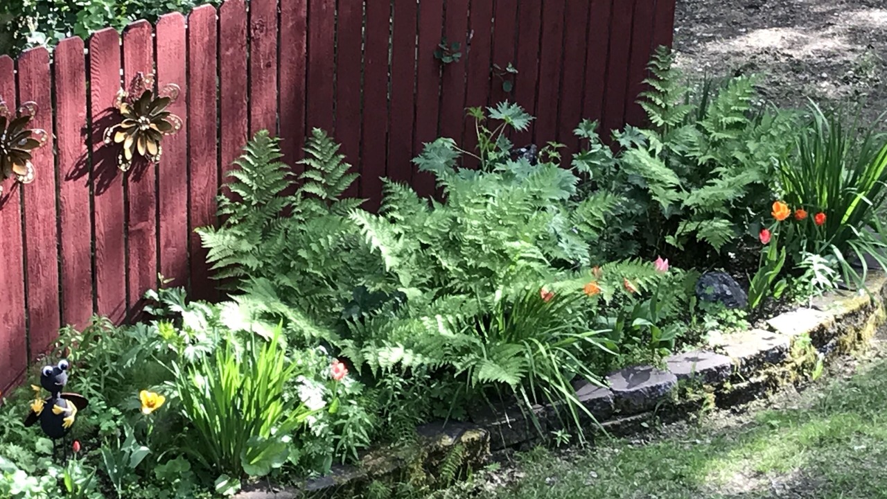 Photo of Outdoor in Fairbanks