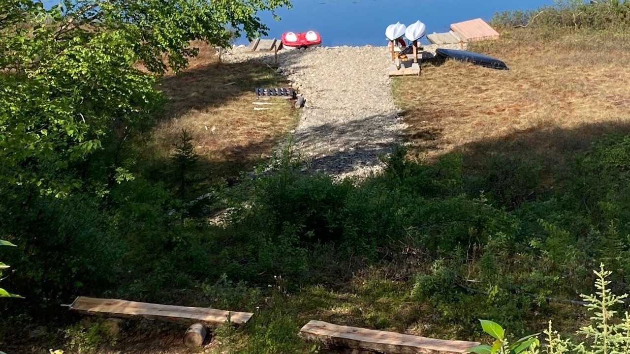 Photo of Outdoor in Willow