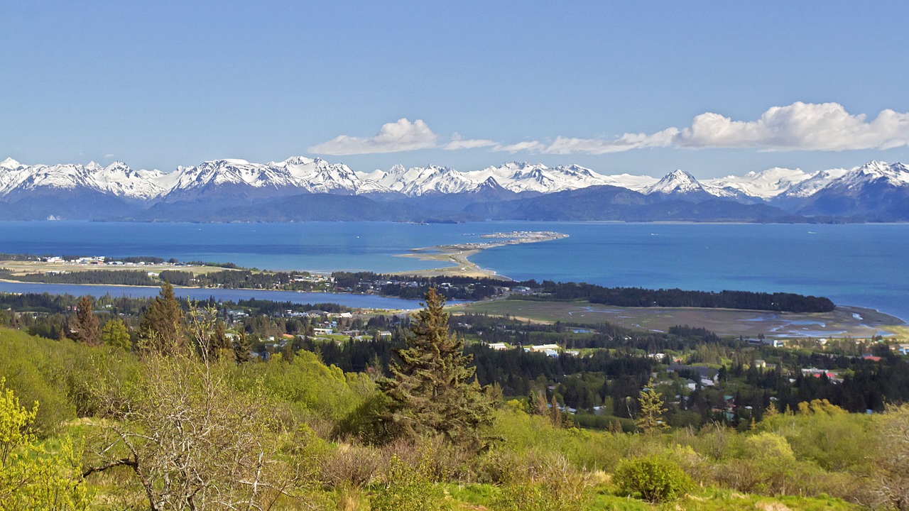 Photo of Others in Homer