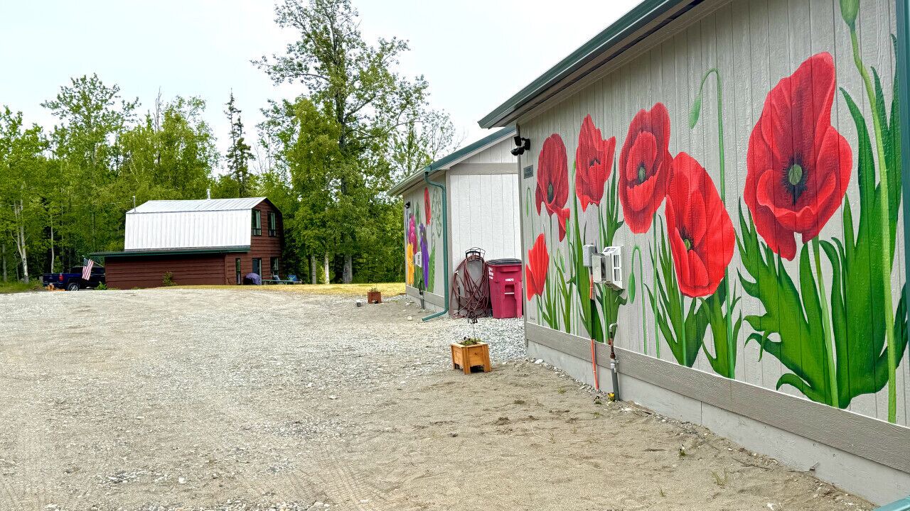 Photo of Outdoor in Palmer