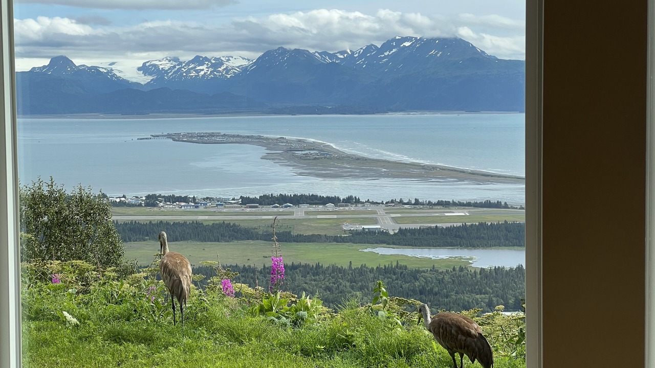 Photo of Others in Homer