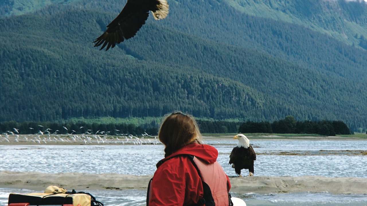 Photo of Others in Juneau