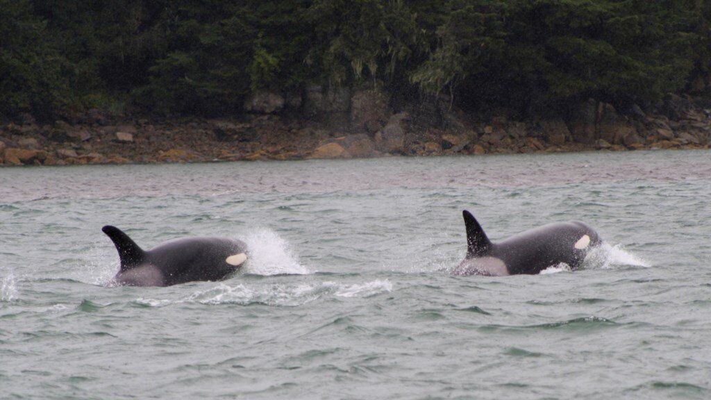 Photo of Others in Mendenhaven