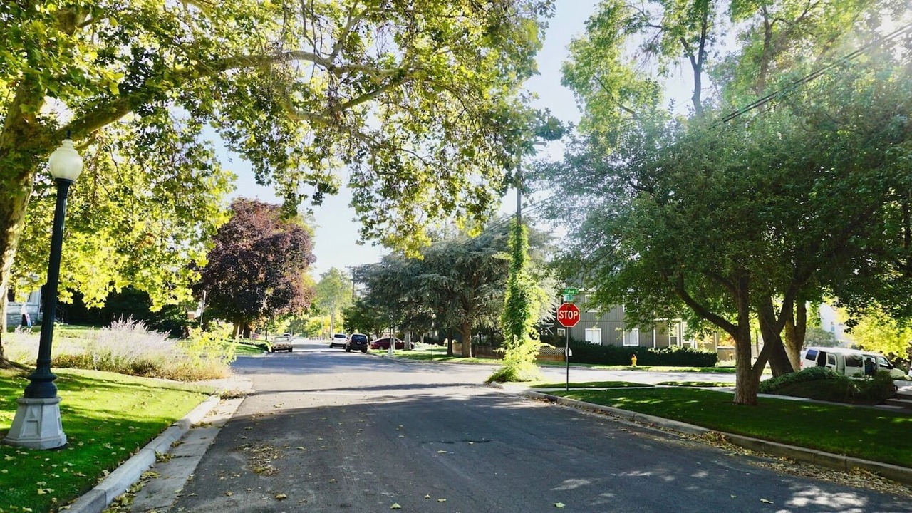 Photo of Others in Lower Avenues