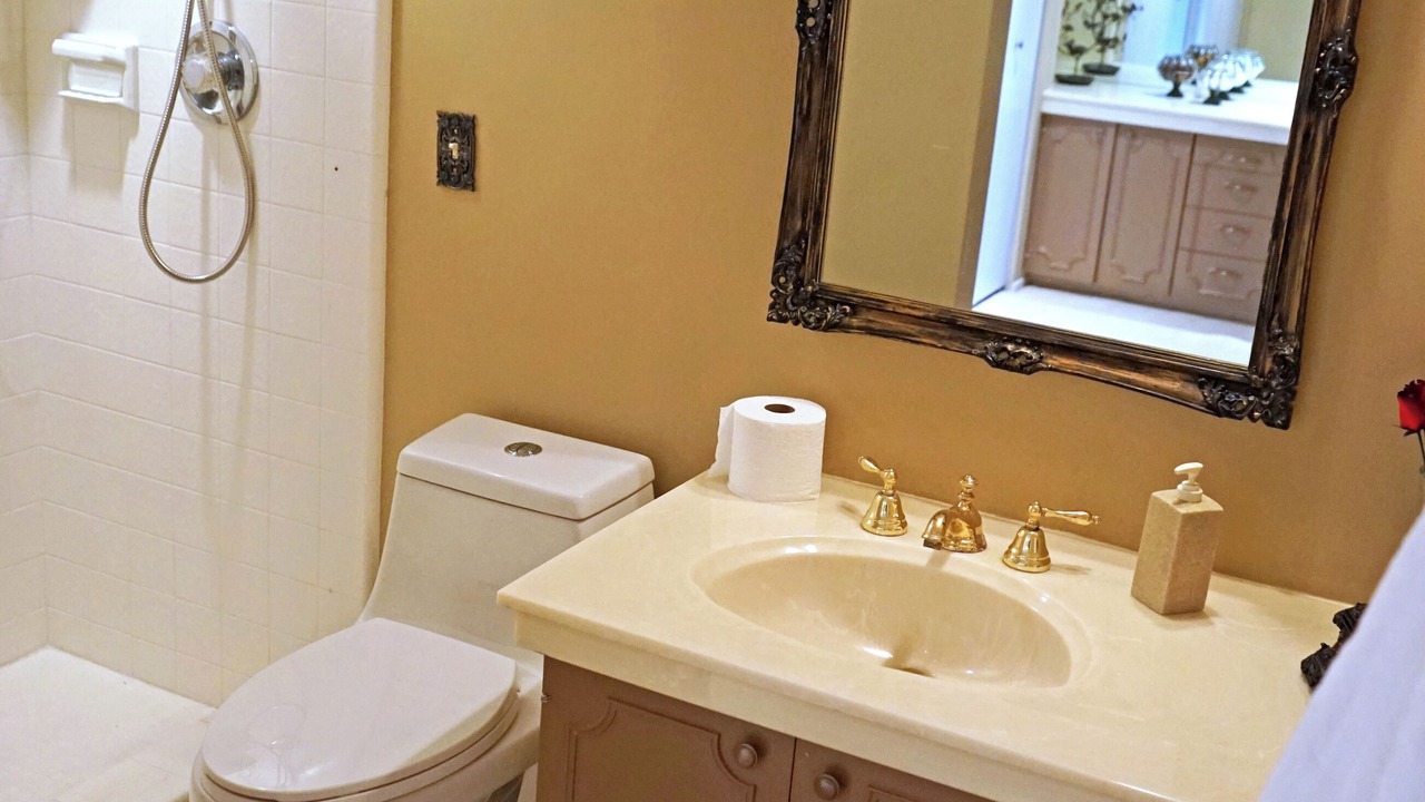 Photo of Bathroom in Mount Olympus