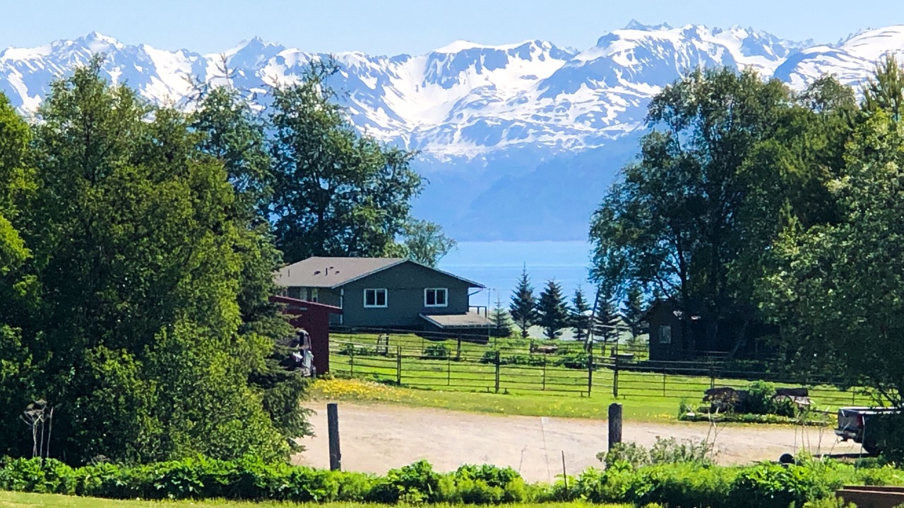 Photo of Others in Kachemak