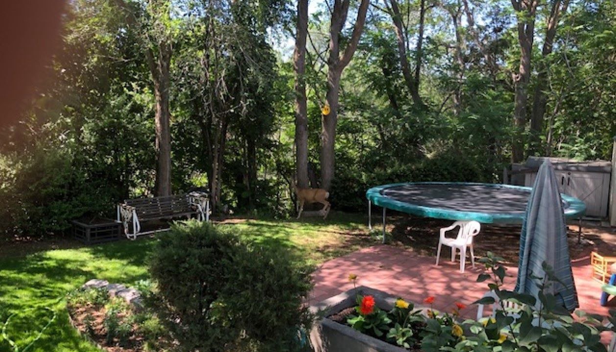 Photo of Outdoor in Yalecrest