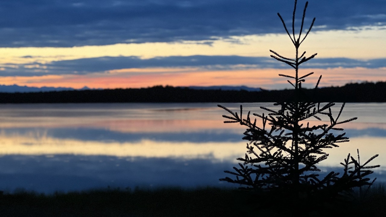 Photo of Others in Trapper Creek