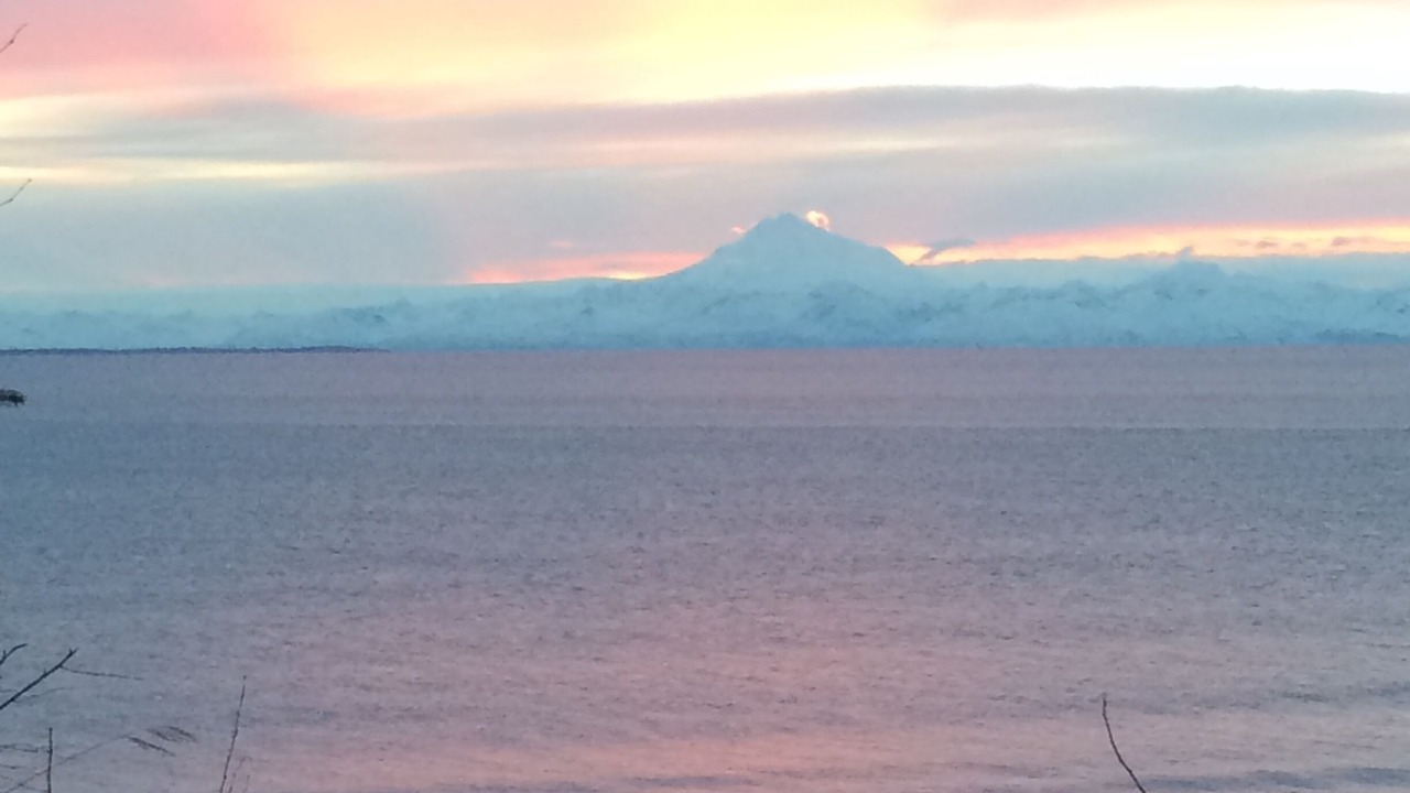 Photo of Others in Kenai