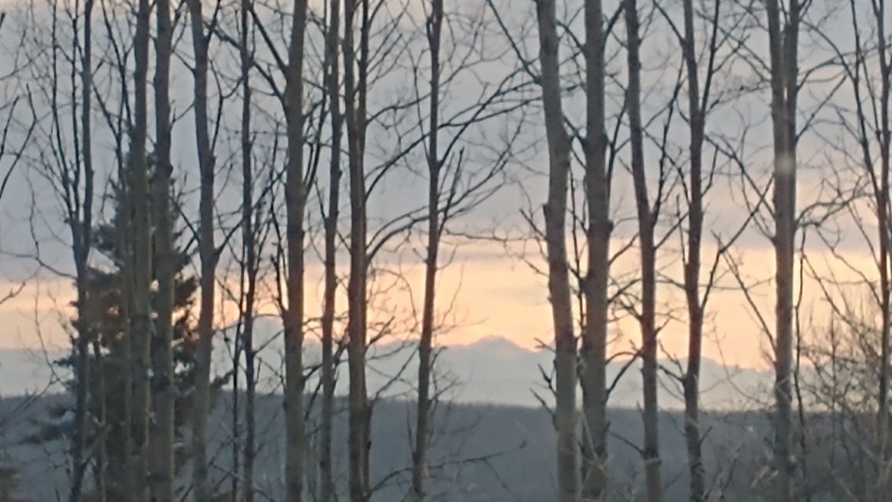 Photo of Others in Fairbanks