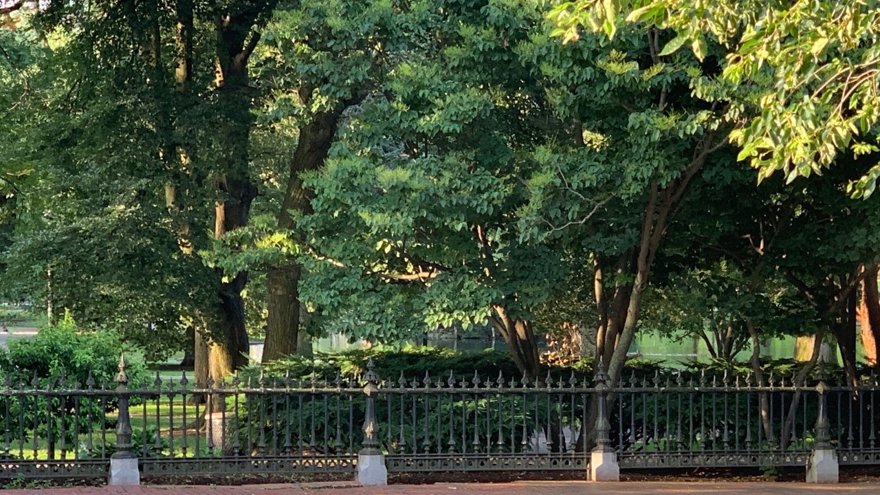 Photo of Outdoor in Beacon Hill