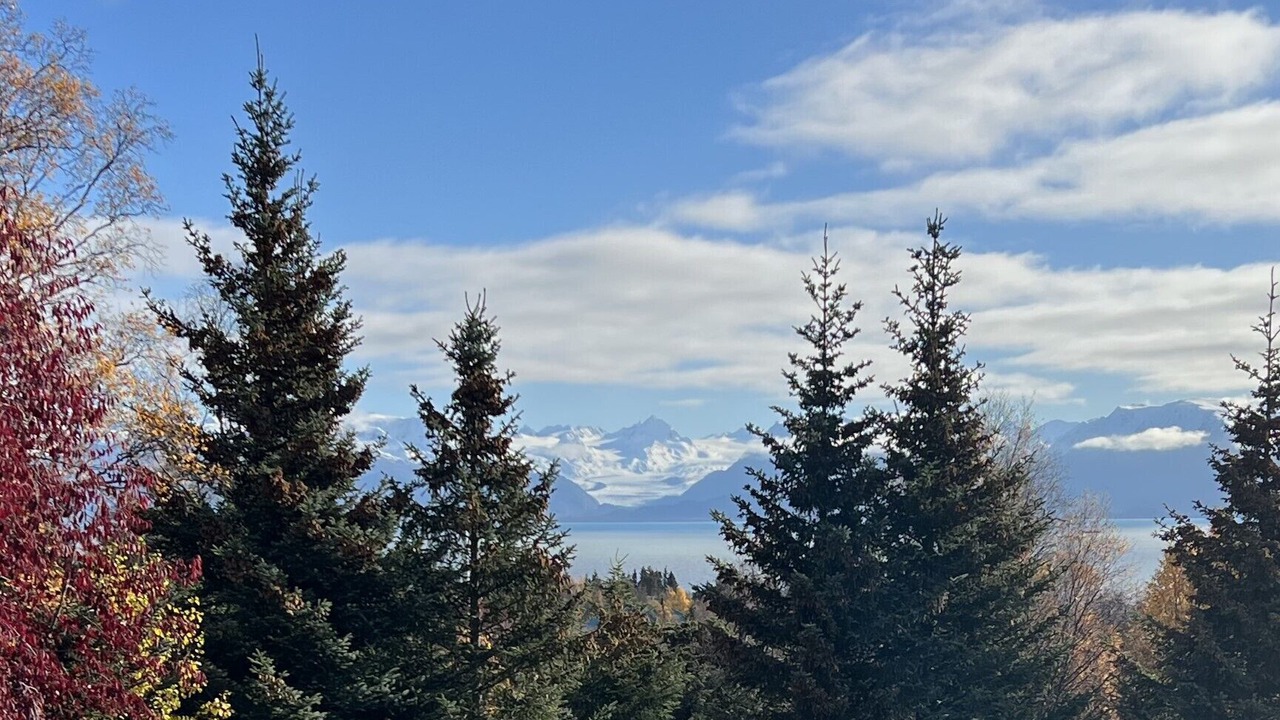 Photo of Others in Kachemak